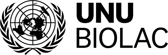 My Logo